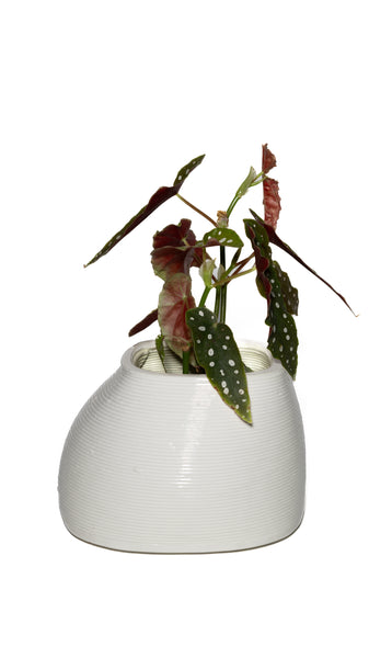 Round White Vessel